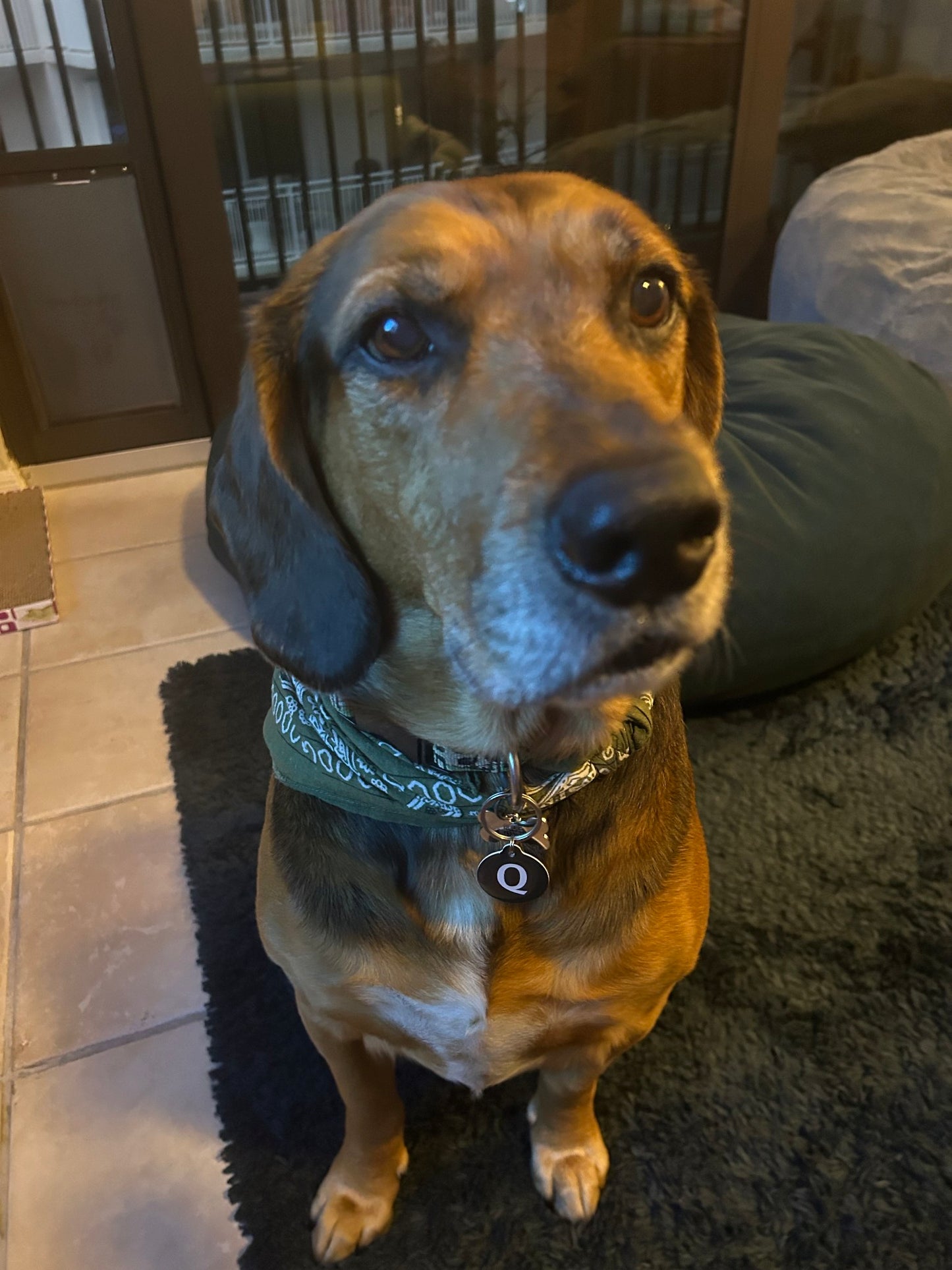 QNode - Obsidian Black