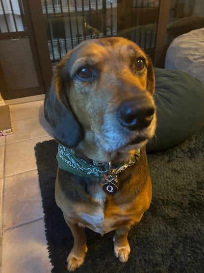 QNode - Obsidian Black