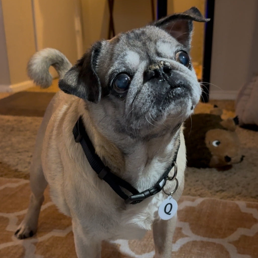 QNode - Obsidian Black