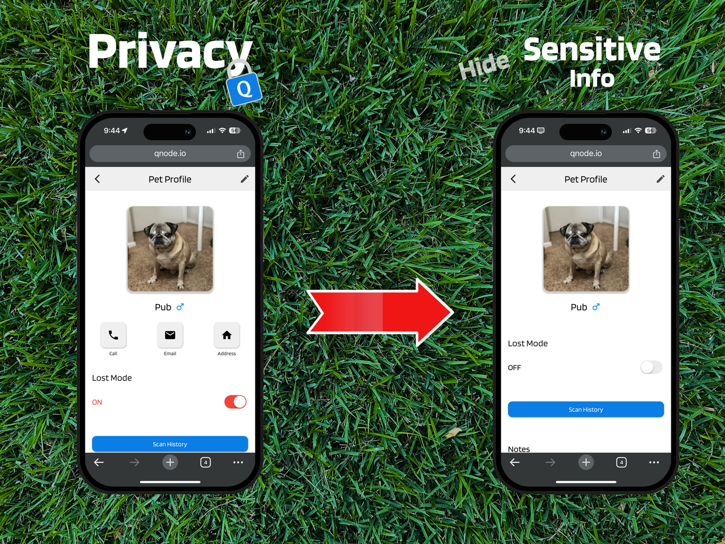 QNode - Obsidian Black